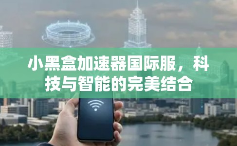 小黑盒加速器国际服，科技与智能的完美结合