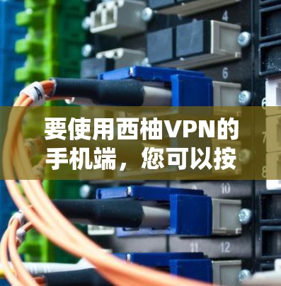 要使用西柚VPN的手机端，您可以按照以下步骤操作
