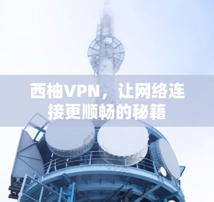 西柚VPN,让网络连接更顺畅的秘籍 西柚VPN,让网络连接更顺畅的秘籍