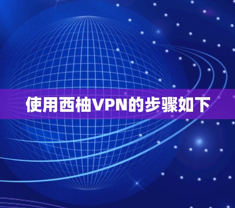 使用西柚VPN的步骤如下 使用西柚VPN的步骤如下