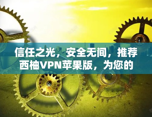 信任之光，安全无间，推荐西柚VPN苹果版，为您的隐私保驾护航