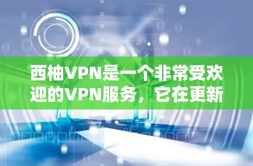西柚VPN是一个非常受欢迎的VPN服务，它在更新版本中会不断优化功能和性能。用户可以通过查看官方文档或服务的官方网站获取最新版本的信息。通常，新版本会包括以下等方面