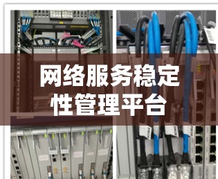 网络服务稳定性管理平台