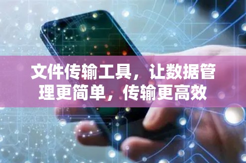 文件传输工具，让数据管理更简单，传输更高效