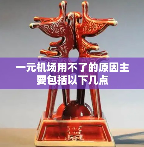 一元机场用不了的原因主要包括以下几点