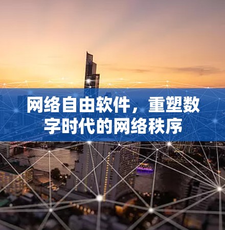 网络自由软件，重塑数字时代的网络秩序