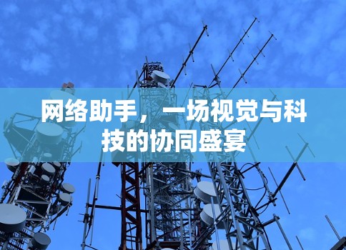 网络助手，一场视觉与科技的协同盛宴
