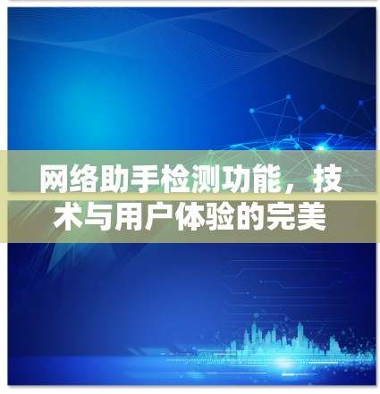 网络助手检测功能，技术与用户体验的完美平衡