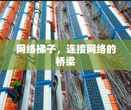 网络梯子，连接网络的桥梁