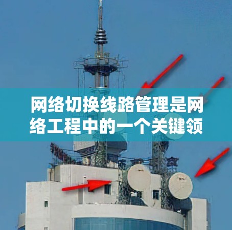 网络切换线路管理是网络工程中的一个关键领域，涉及将不同的网络设备或服务切换并管理，以实现更高效和灵活的网络环境。以下是对这一主题的分步骤总结