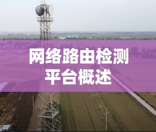 网络路由检测平台概述