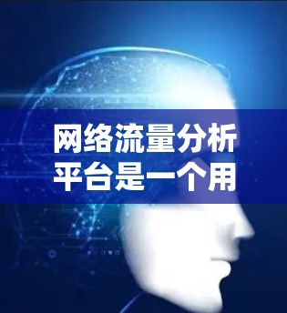 网络流量分析平台是一个用于测量和分析网络流量的数据平台，广泛应用于网络监控和安全分析。以下是该平台的关键点