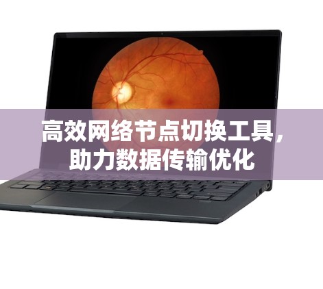 高效网络节点切换工具，助力数据传输优化