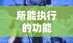 所能执行的功能