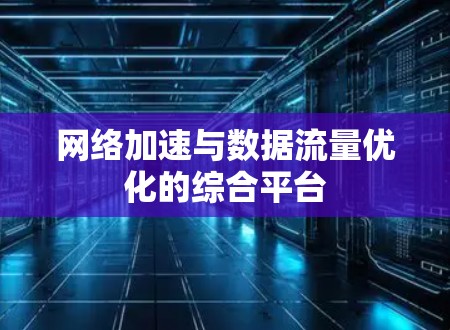 网络加速与数据流量优化的综合平台