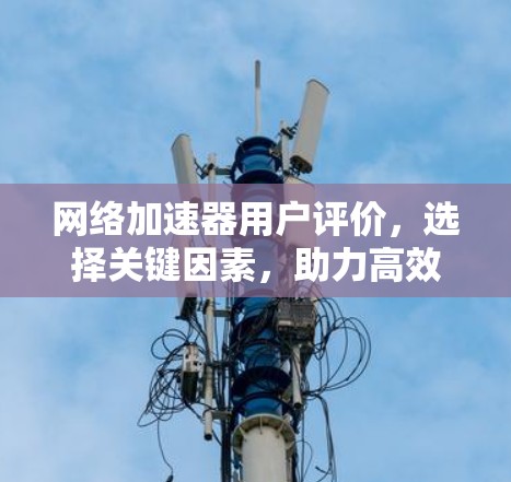 网络加速器用户评价，选择关键因素，助力高效连接