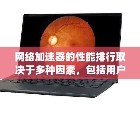网络加速器的性能排行取决于多种因素，包括用户的需求、预算、使用的网络类型以及对延迟和稳定性的要求。以下是一些 commonly used 的网络加速器及其性能特点，供参考