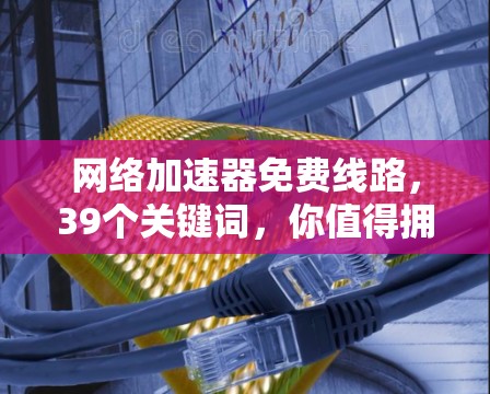 网络加速器免费线路，39个关键词，你值得拥有