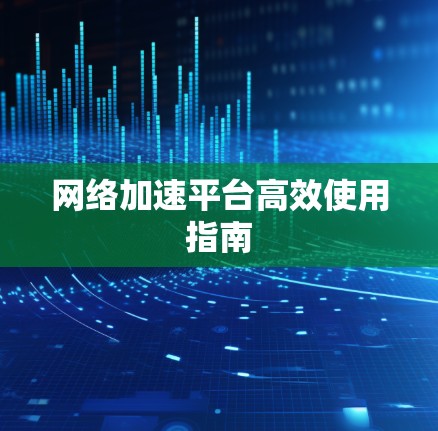 网络加速平台高效使用指南