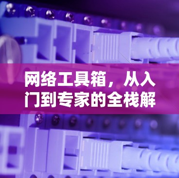 网络工具箱，从入门到专家的全栈解决方案