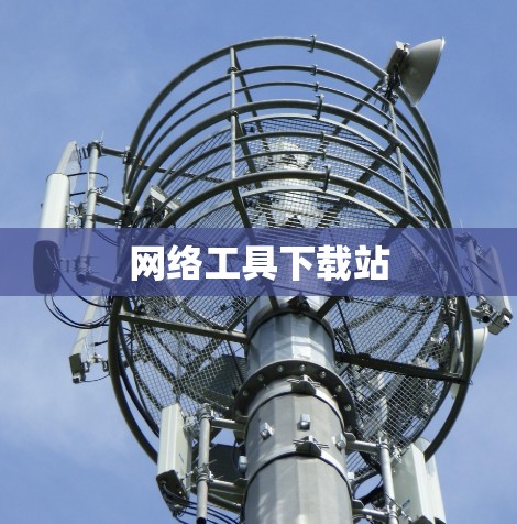 网络工具下载站