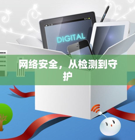 网络安全，从检测到守护