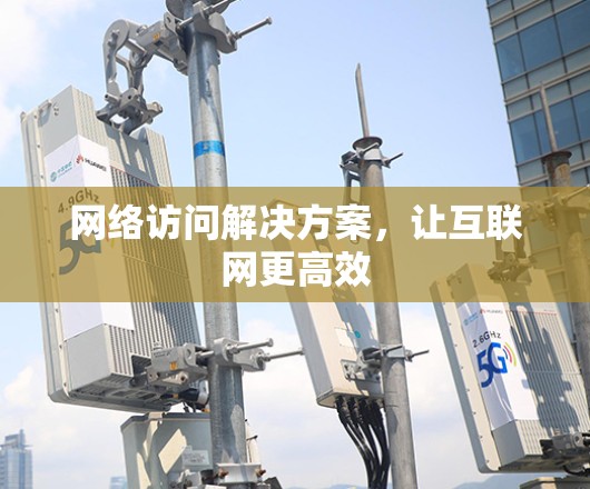 网络访问解决方案，让互联网更高效