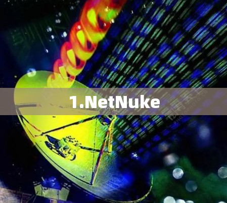 1.NetNuke