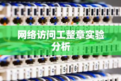 网络访问工整章实验分析