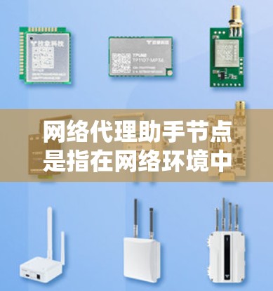 网络代理助手节点是指在网络环境中负责处理用户请求和代理服务的服务器。以下是对网络代理助手节点管理的详细分析