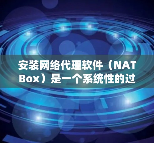 安装网络代理软件（NATBox）是一个系统性的过程，需要按照以下步骤逐步进行