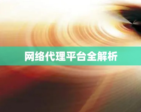 网络代理平台全解析