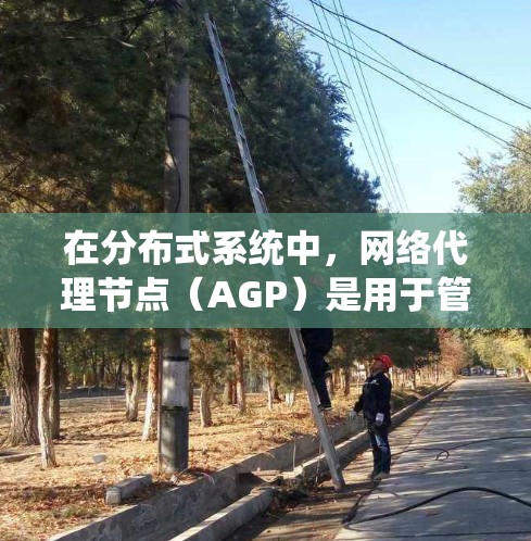 在分布式系统中，网络代理节点（AGP）是用于管理网络连接的节点，通常位于跨机的网络中。以下是一些推荐网络代理节点的策略，可以帮助你高效地管理网络连接
