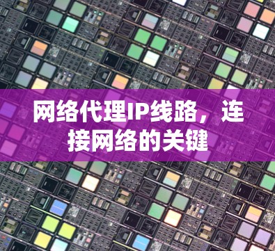 网络代理IP线路，连接网络的关键