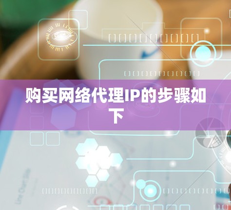 购买网络代理IP的步骤如下