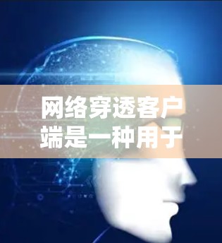 网络穿透客户端是一种用于监控和检测网络攻击的工具，主要用于企业和学校。以下是对该工具的详细介绍