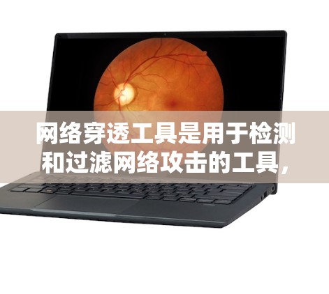 网络穿透工具是用于检测和过滤网络攻击的工具，旨在保护用户和企业的网络安全。以下是一些推荐的网络穿透工具，结合了免费和付费选项，并提供了解决方案和使用指南