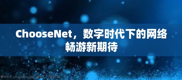 ChooseNet，数字时代下的网络畅游新期待