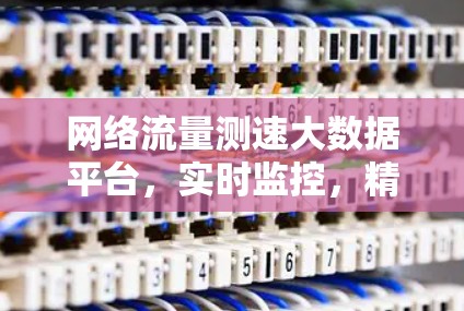 网络流量测速大数据平台，实时监控，精准管理，助力流量优化