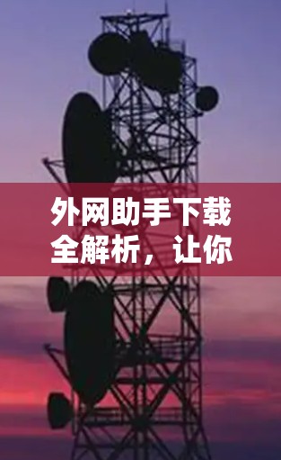 外网助手下载全解析，让你下载更轻松