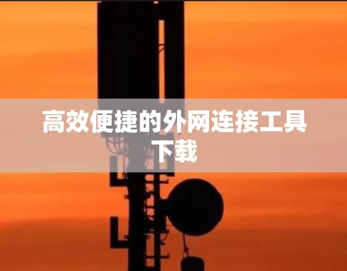 高效便捷的外网连接工具下载