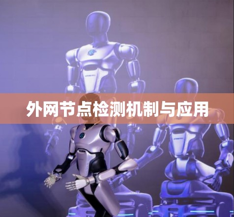 外网节点检测机制与应用
