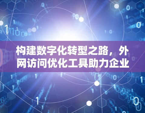 构建数字化转型之路，外网访问优化工具助力企业高质量发展