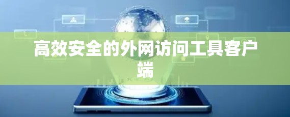 高效安全的外网访问工具客户端