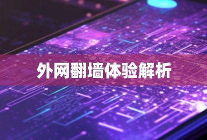 外网翻墙体验解析