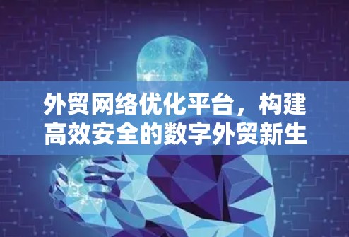 外贸网络优化平台,构建高效安全的数字外贸新生态 外贸网络优化平台,构建高效安全的数字外贸新生态