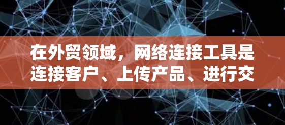 在外贸领域，网络连接工具是连接客户、上传产品、进行交易和管理订单等核心功能的工具。它们为外贸商家提供了高效、便捷的运营模式，帮助商家提升转化率和客户满意度。以下是一个详细的介绍