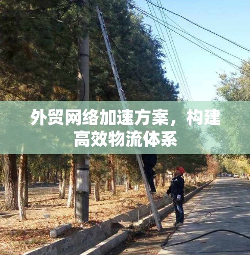 外贸网络加速方案，构建高效物流体系