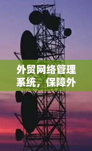 外贸网络管理系统，保障外贸企业权益的智能解决方案