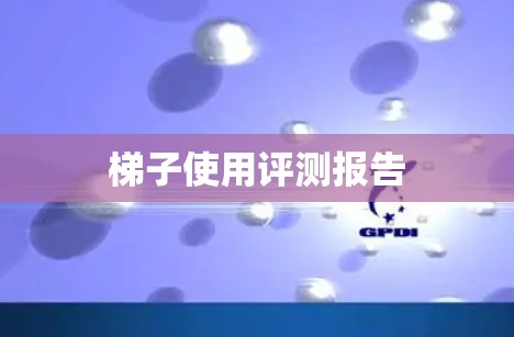 梯子使用评测报告